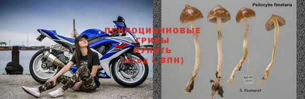 мдма Заволжск