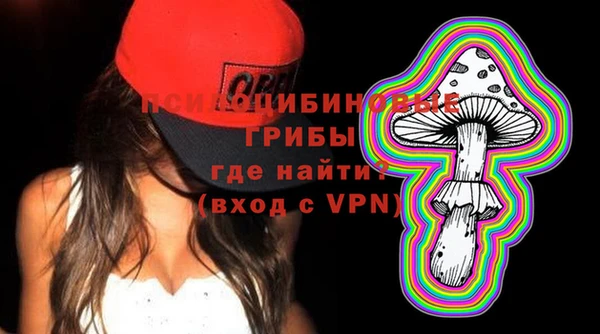 хмурый Заводоуковск