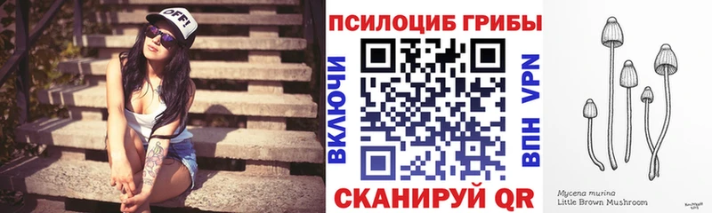 Купить закладки  Грязи  Псилоцибиновые грибы Psilocybine cubensis 